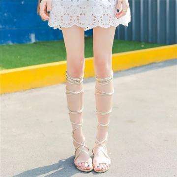 米乐m6网页版截图